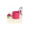 Small Metal Water Can Play Time Use Metal Watering Can 600ml Watering Can for Kids