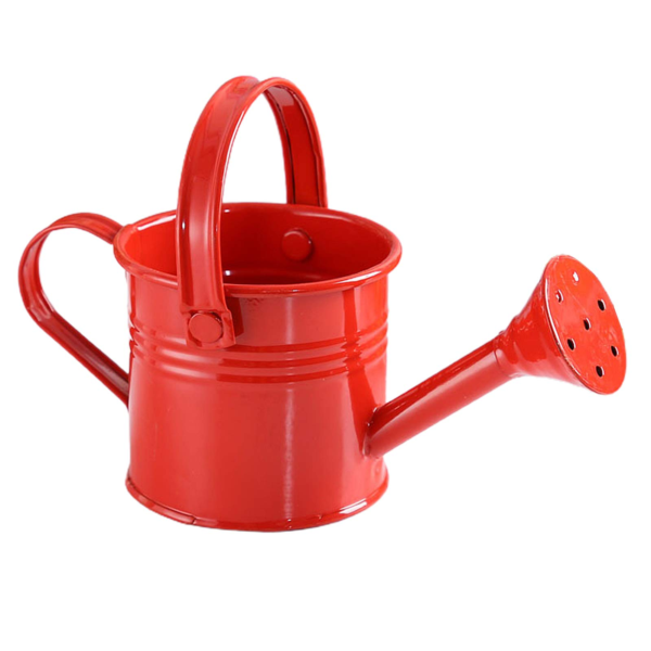 Small Metal Water Can Play Time Use Metal Watering Can 600ml Watering Can for Kids