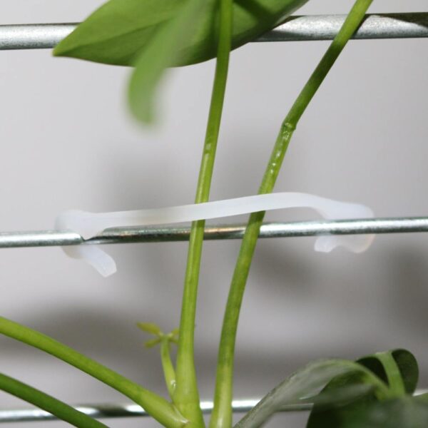 Grape Vine Trellis Clips - Agricultural Plant Plastic Rope Vine Tied Fixed Buckle Hook Tie Belt Vegetable and Fruit Tie Wire Frame Belt
