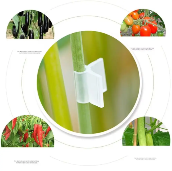 Agricultural Plastic Product Silicone Transparent Greenhouse Vegetable & Tomato Plant Grafting Clips