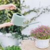 Unique Handcrafted Plants Watering, Iron Can Wholesale Exporter Custom Finished Handcrafted Metal Watering Can for Green Plants