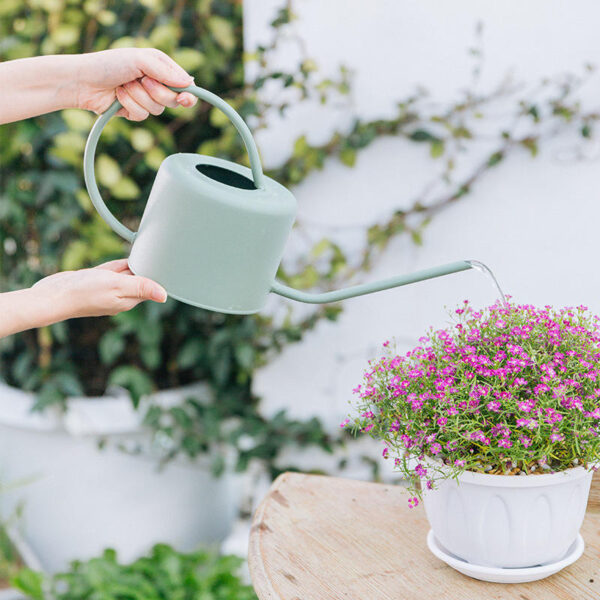 Unique Handcrafted Plants Watering, Iron Can Wholesale Exporter Custom Finished Handcrafted Metal Watering Can for Green Plants