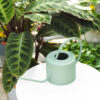 Unique Handcrafted Plants Watering, Iron Can Wholesale Exporter Custom Finished Handcrafted Metal Watering Can for Green Plants