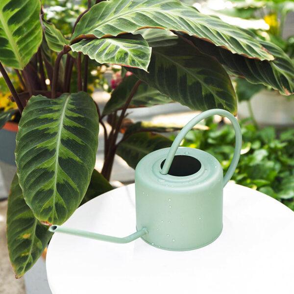 Unique Handcrafted Plants Watering, Iron Can Wholesale Exporter Custom Finished Handcrafted Metal Watering Can for Green Plants