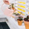 Unique Handcrafted Plants Watering, Iron Can Wholesale Exporter Custom Finished Handcrafted Metal Watering Can for Green Plants
