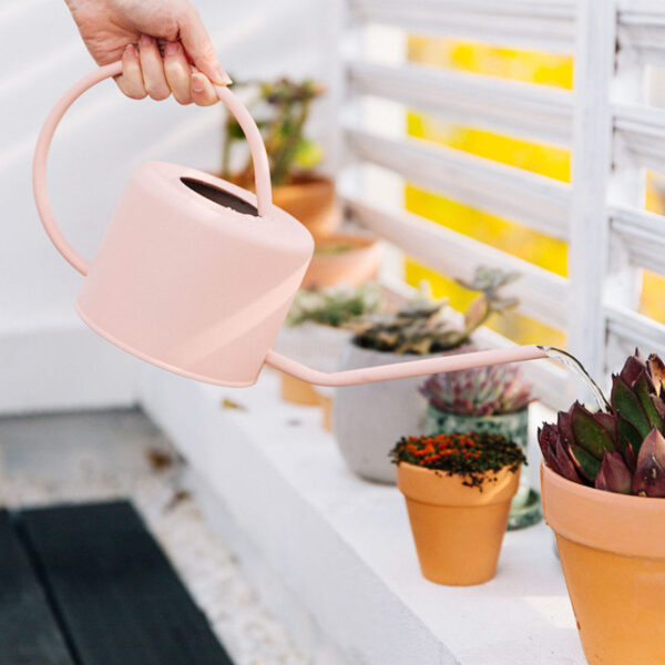 Unique Handcrafted Plants Watering, Iron Can Wholesale Exporter Custom Finished Handcrafted Metal Watering Can for Green Plants