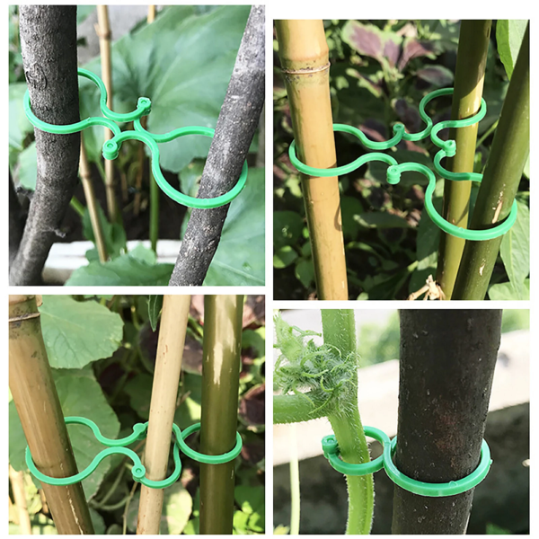 Garden Vine Clips Plant Rattan Climbing Wall Fixture Buckle Tomato Grapevine Hook Holder Plant Support Clip