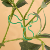 Garden Vine Clips Plant Rattan Climbing Wall Fixture Buckle Tomato Grapevine Hook Holder Plant Support Clip