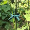 Greenhouse Plant Fastener Securing Clip Branches Vines Fixing Clamp Seedling Support Grafting Clip