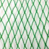 H3c2b6d08428c43ffa201fc6f3cbea170v HDPE Knitted Anti Bird Garden Protection Net