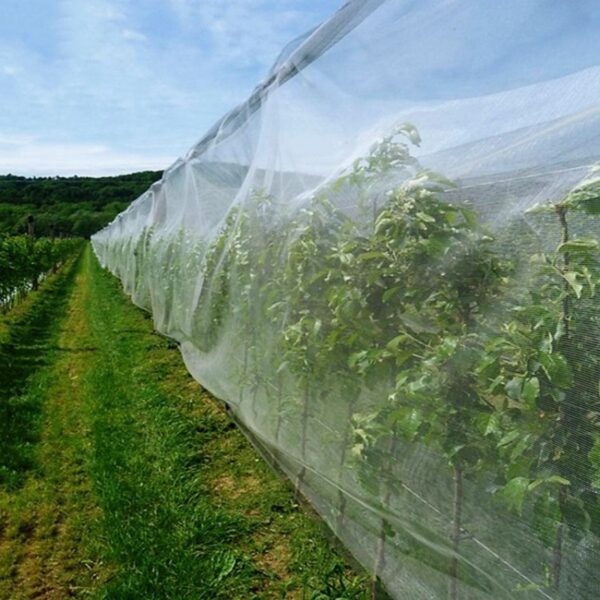 H4a7be3fd51944d61962015c4dbd580caD HDPE+ UV Plastic Anti Insect Mesh