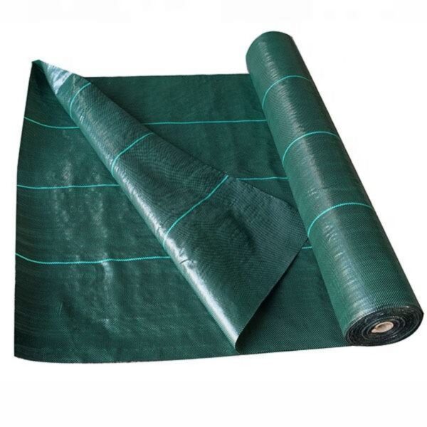 HTB1F5DKX_jxK1Rjy0Fnq6yBaFXag Green Color PP Ground Cover