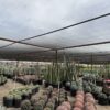 Hbf362f995fa94a61a1bf31b48194dbfd6 Long Life Garden Agricultural Tunnel Greenhouse Cover Black Knitted Polyethylene Shade Fabric Mono Filament Sun Shade Net