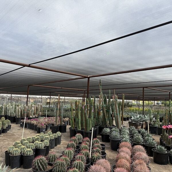 Hbf362f995fa94a61a1bf31b48194dbfd6 Long Life Garden Agricultural Tunnel Greenhouse Cover Black Knitted Polyethylene Shade Fabric Mono Filament Sun Shade Net